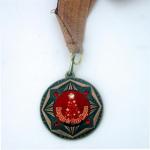       2009 - medal-021209-1.jpg